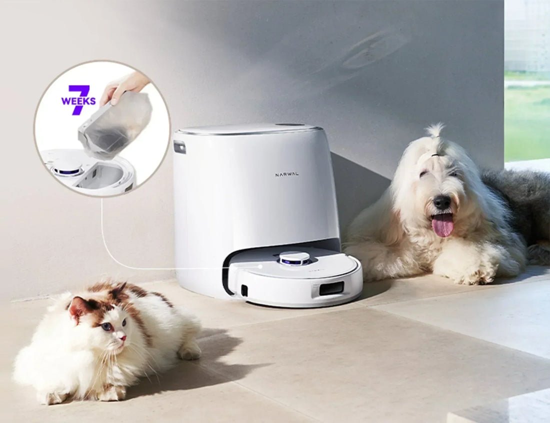 Robotdammsugare för Hundhår - Guide till bästa valet